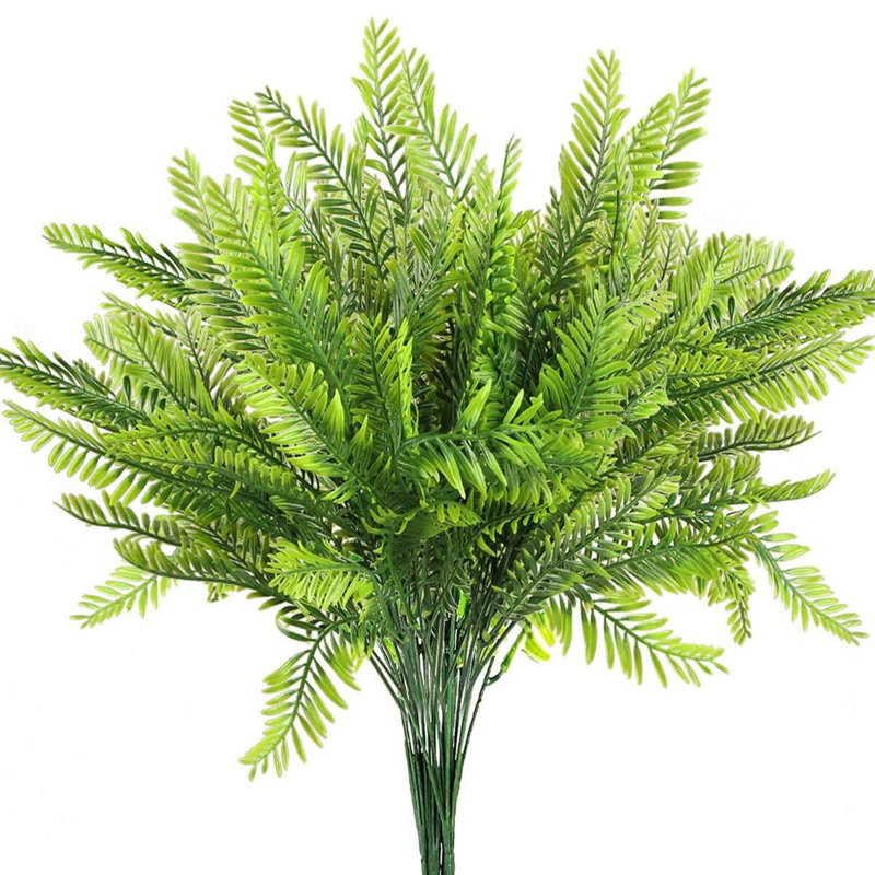 14.5 Plante