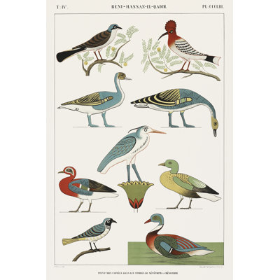 August Grove® Atrayu Egyptian Bird Charts I On Canvas by Jean Francois ...