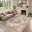 Area Rug-1714135321-1714135366