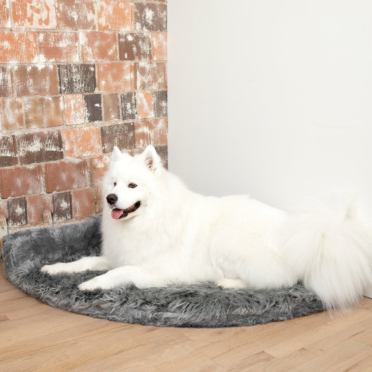 Tucker Murphy Pet™ Pretor Puprug Runner Faux Fur Memory Foam Dog