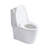 Small Compact One Piece Toilet Dual Flush