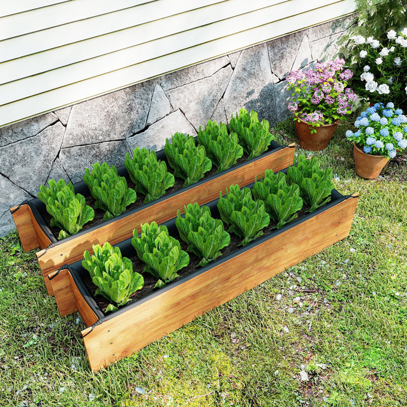 2 lits de jardin surélevés en bois avec trous de drainage, doublure pour plante à fleurs, 2