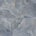 Cerulea
