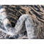 Tapis contemporain Araceli couleur bord de mer-71264182