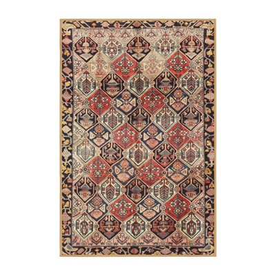 Southwestern Indoor Rug