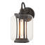 Fairwinds Outdoor Sconce - Clear Glass-72151563-72151562