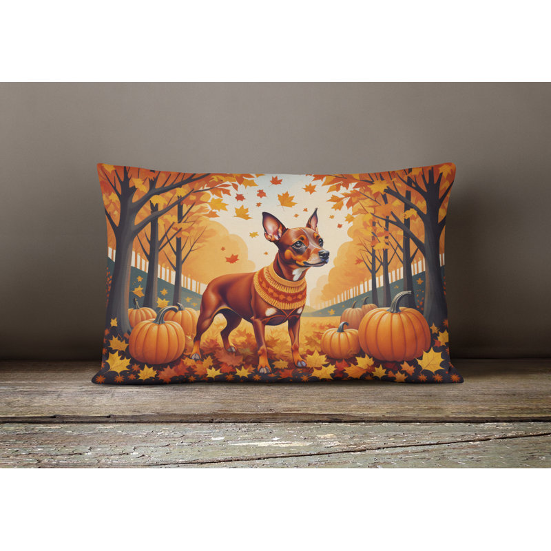 Other/No Pattern Outdoor Throw Pillow