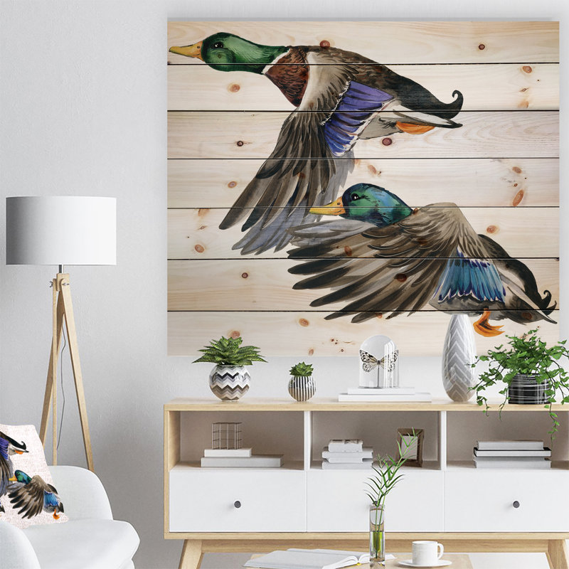 Canard coloré dessiné à la main, œuvre d’art blanche isolée-imprimé Sketch, H 36 po x l 46 po x P 1,5 po, Bois