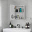 Novalise Wall Mounted Required Bathroom Cabinet