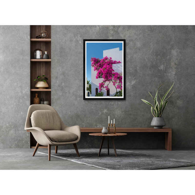 Climbing Bougainvillea I Print by Tim Klein