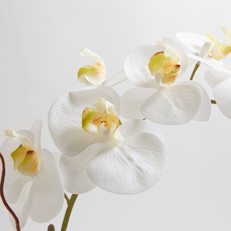 Orchidée florale double 25 po, Blanc