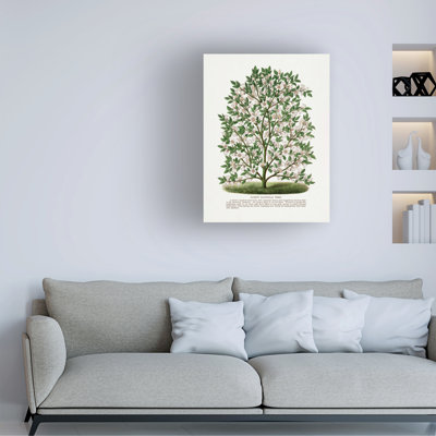 Reproduction d'art sur toile, "Magnolia"