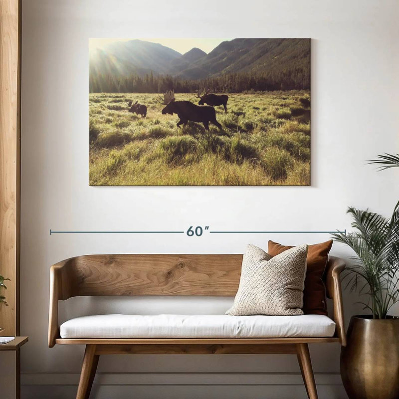 Brampt Three Bull Moose, 30" H x 45" W