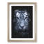 Tiger Portrait - Framed Print-56856966-56856967