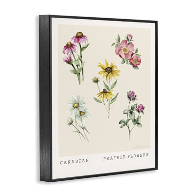 Canadian Prairie Florals Framed Giclee Art, design by Heather Desormeaux
