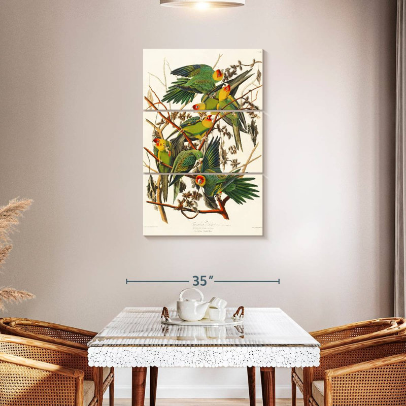 Brampt Carolina Parakeet, 45" H x 28" W