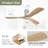 Nicola 52" 3-Blade Ceiling Fan-1789334605