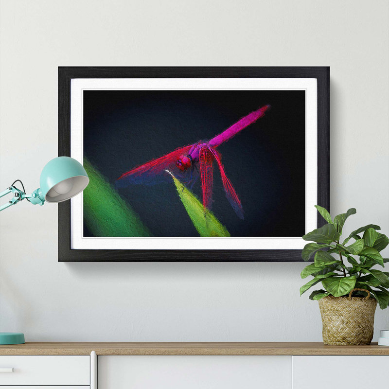 Dragonfly - Picture Frame Painting Print, 27cm H x 36cm W x 2cm D, Black Framed