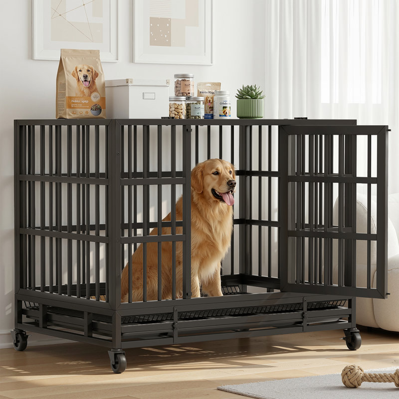 Cage pour chien robuste Stratford, H 35,6 po x l 47,1 po x P 29,9 po