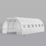 10' W x 20' D Hobby Greenhouse
