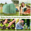 Brandylynn 6.5 Ft W x 8 Ft D Greenhouse