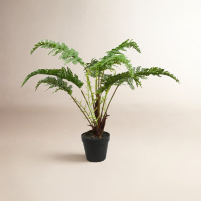 Fern 20'' Faux Plant in Pot