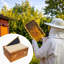 Beekeeping Woodenware
