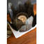 BASE ANTIQUE EN LAITON MÉTAL EN LAITON AVEC VERRE HURRINCANE