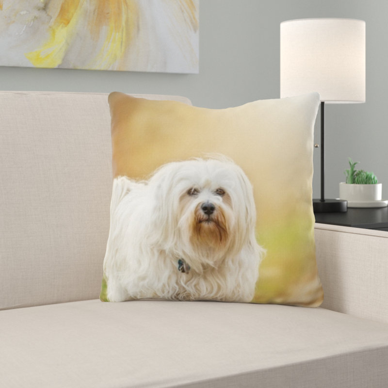 Coussin pour chien