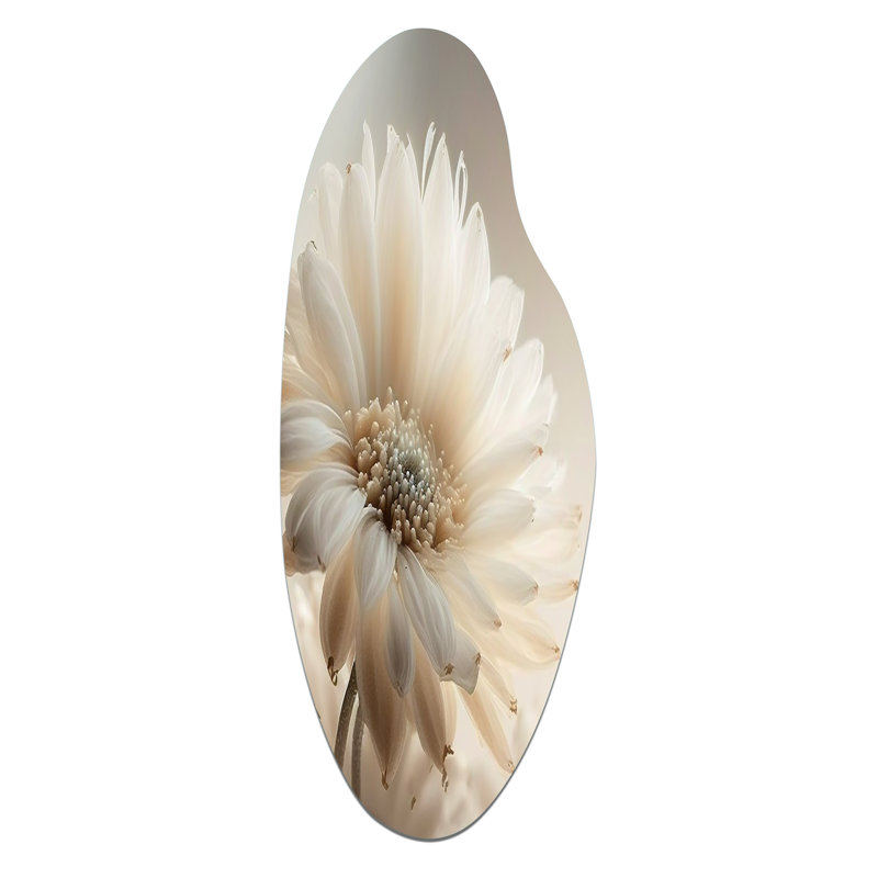 Fleurs blanches blanches Gerbera III - Gerbera, H 30 po x l 11 po