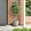 Pot à fleurs rond en céramique Gwendelynn-1675360842-1659067862