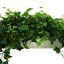 Nature's Elegance Faux Ivy Plant in Planter