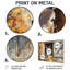 Donkey S Path Tot Hye Barn I - Donkey, impression sur toile-875734065