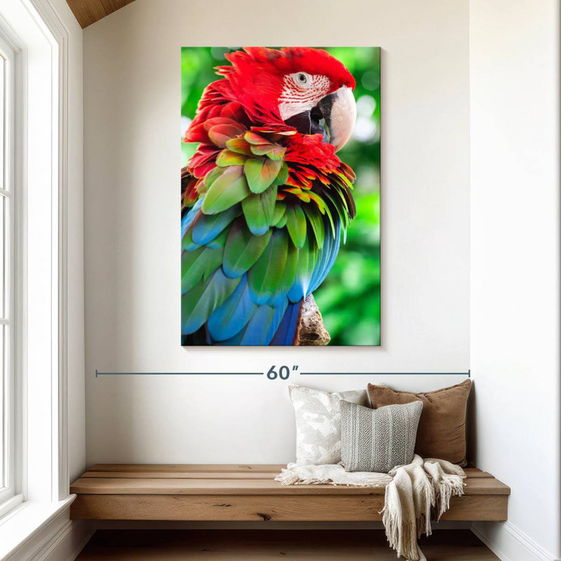 Brampt Green Winged Macaw Parrot, 48" H x 32" W