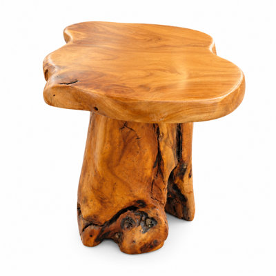 Adelie Tree Stump Natural Live Edge Stool
