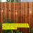 Ambience Pro Indoor/Outdoor Hanging Incandescent 11-Watt S14 Bulb String Lights-978488345-985885232