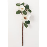 Magnolia Arrangement