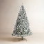 Lighted Artificial Christmas Tree
