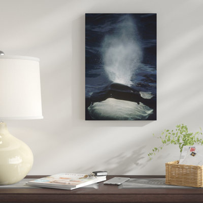 " Orca Surfacing, British Columbia, Canada "