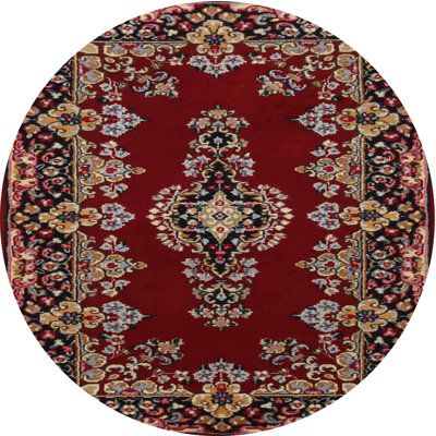 Castilloux Oriental Indoor Rug