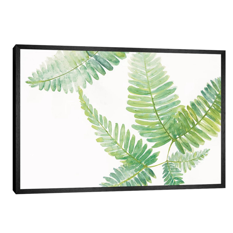 Ferns II by Chris Paschke - Floater Frame Painting on Canvas, Black Framed