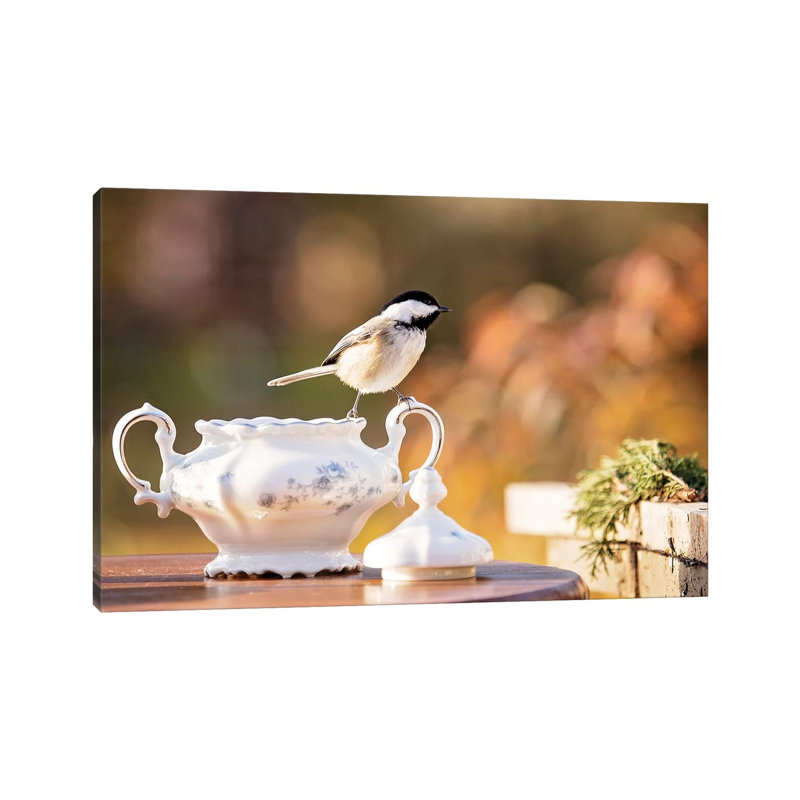 Chickadee Sugar Bowl by Karen Burke - Wrapped Canvas Print