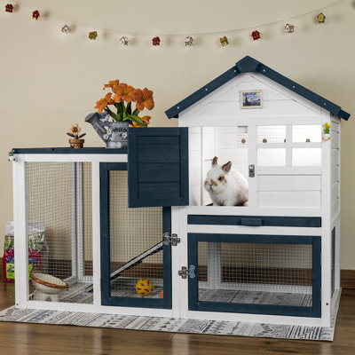 Cage à lapin en cage