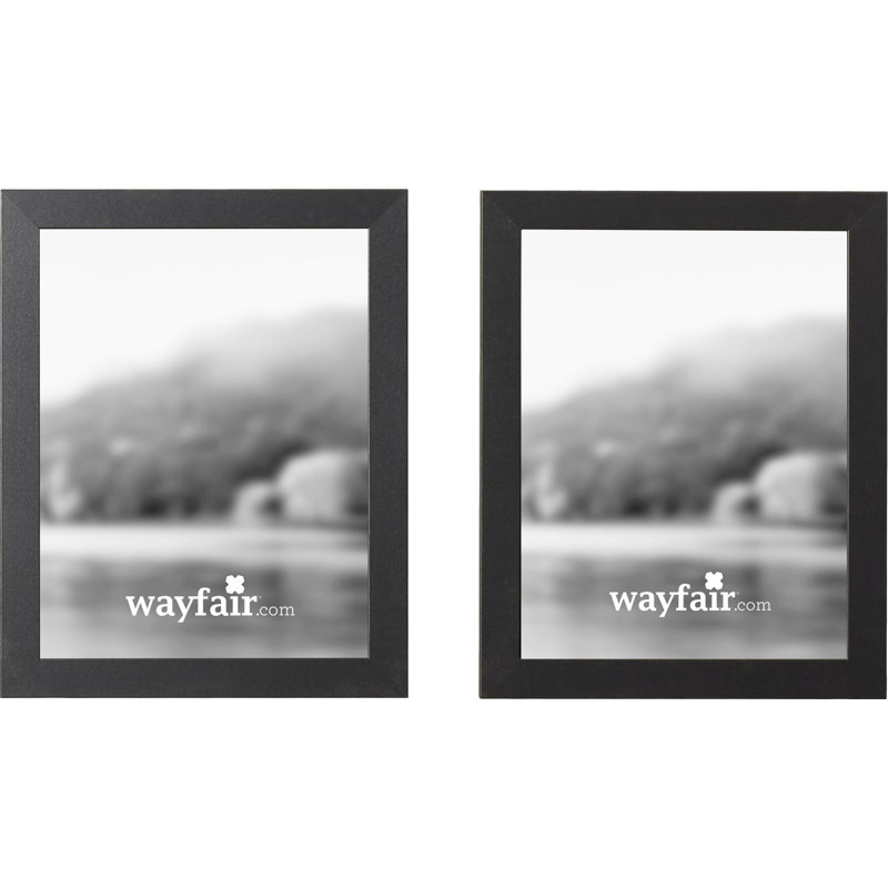 Harbaugh Complete Picture Frame, 18" W x 24" H, Black