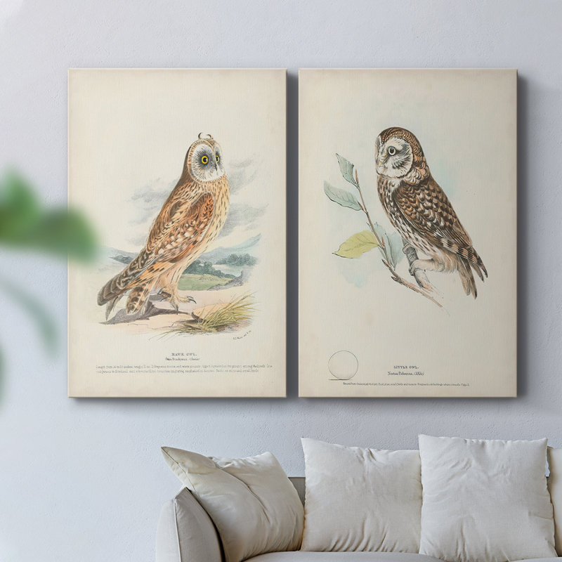 Hawk Owl - Toile tendue avec châssis de qualité supérieure - Prêt à être accroché