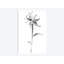 « ink tiger lily », impression sur toile-32866182-72236936-72236937