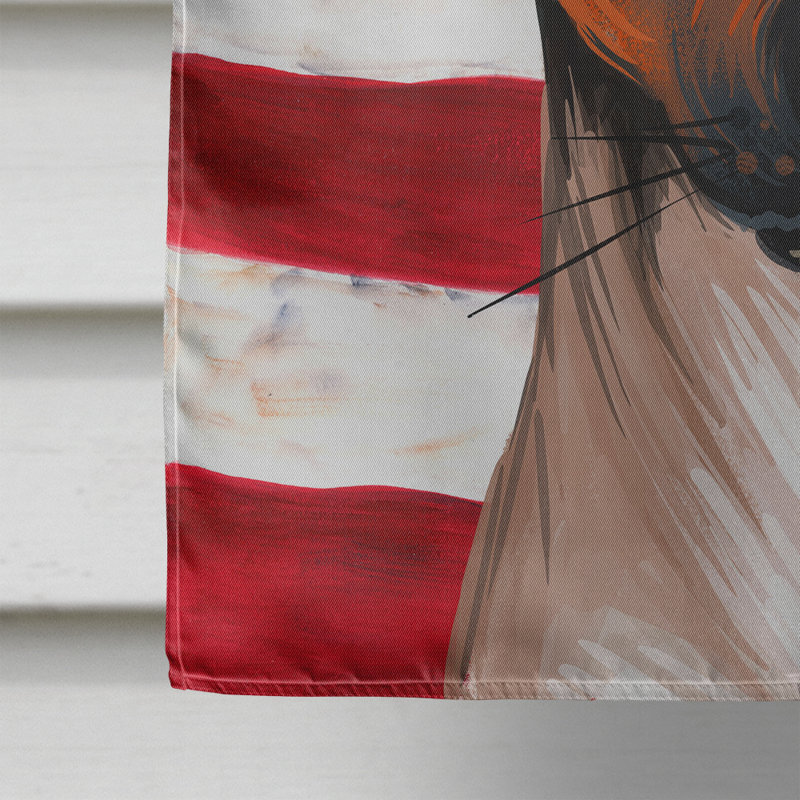 Polyester à 2 côtés 28 x 40 po drapeau maison, Ratonero Valenciano