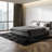 Indoor Rug-1940718015