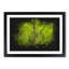 Lines Of The Leaf Paint Splash - Picture Frame Graphic Art-56865457-56865460