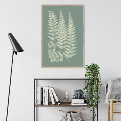 Ferns On Sage III by Vision Studio - Painting on Canvas